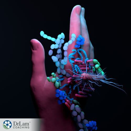 An image of a hand holding gut microbes