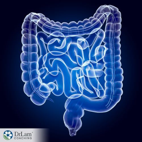 An image of the intestines and colon