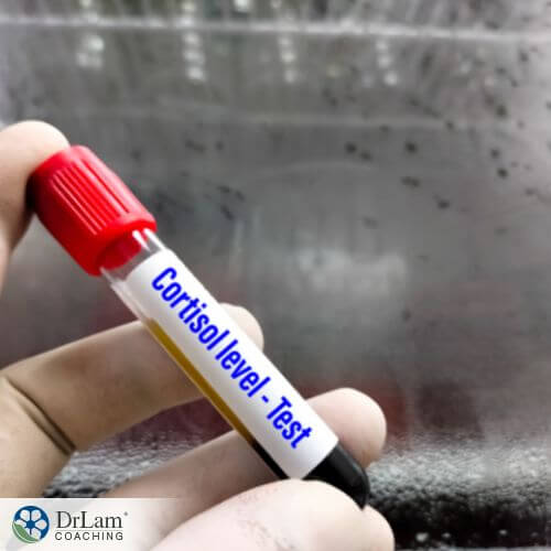 An image of a vial of blood with cortisol level-test on it