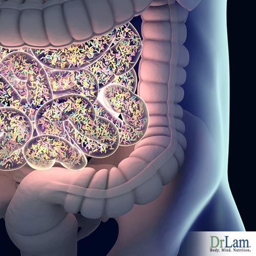 Human microbiome and leaky gut