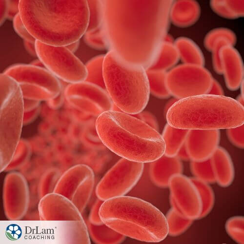 An image of red blood cells