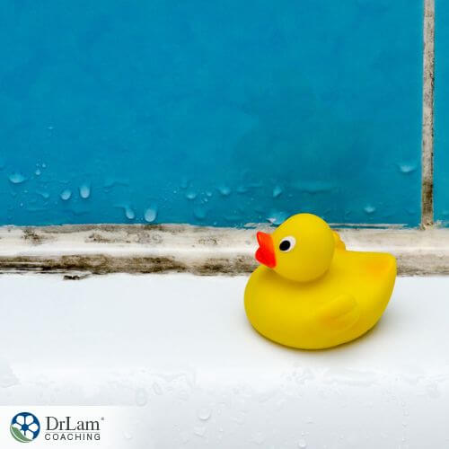 An image of a rubber duck next to mold