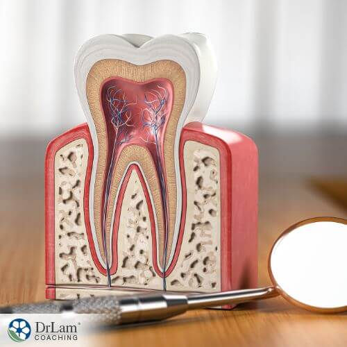 An image of a tooth diagram