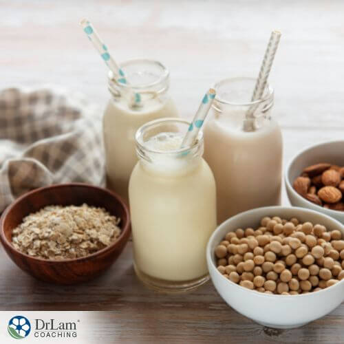 An image of plant based milks and their ingredients