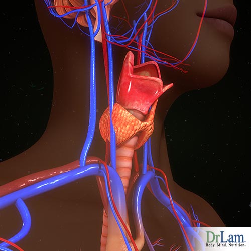Signs of hypothyroidism you should look out for