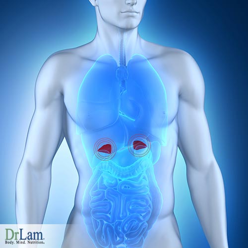 steroids and adrenal insufficiency play a major role in your health
