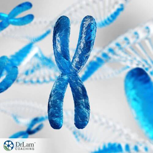An image of a chromosome