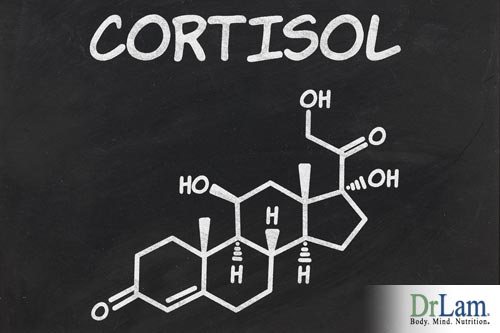 Compromised adrenal function leads to the underproduction of cortisol which causes many of the symptoms of adrenal fatigue including liver health issues