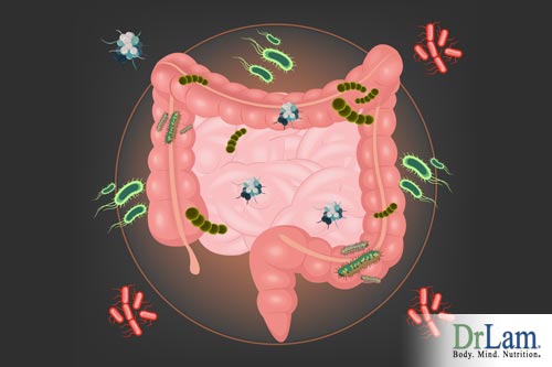 You should maintain healthy gut bacteria