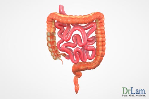 Metabolic syndrome can affect your gut
