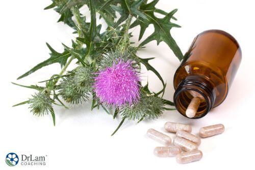 An image of Milk Thistle