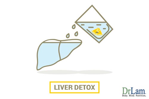 Be aware of liver detox symptoms, even with mild detoxification protocols 