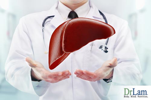 A healthy liver is needed to metabolize progesterone in men