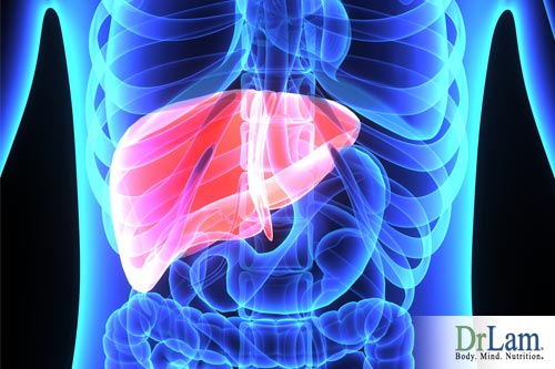 Heavy Metal Poisoning and the Liver