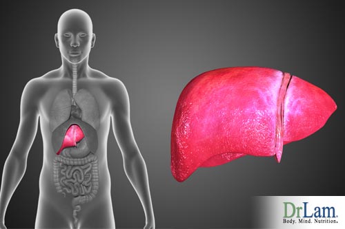 Avoid losing muscle by supporting your liver