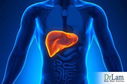 Excessive reactive metabolite is a burden on the liver