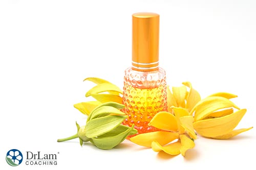 An image of Ylang Ylang flowers and essential oil