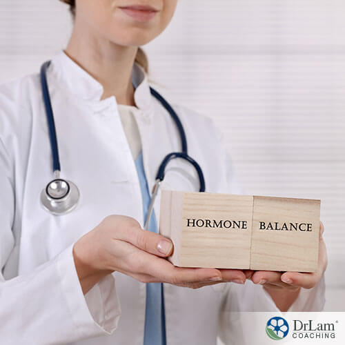 a great presentation of the word hormonal balance with the doctor holding it in a background