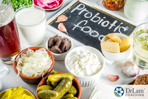 An image of probiotic foods
