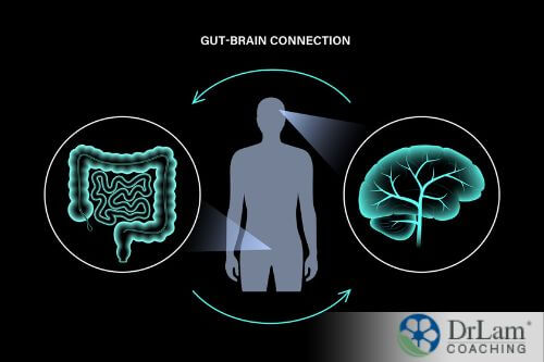 An image of the gut-brain connection