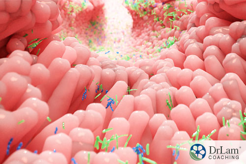An image of the microbiome in the intestines