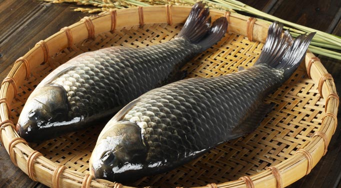 Different species of fish can have different fish allergens
