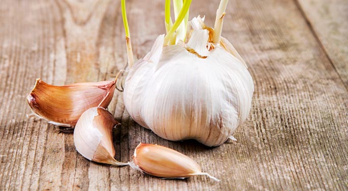 Garlic has many benefits such as natural blood pressure medicine