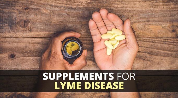 natural lyme disease cures