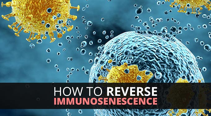 reversing immunosenescence