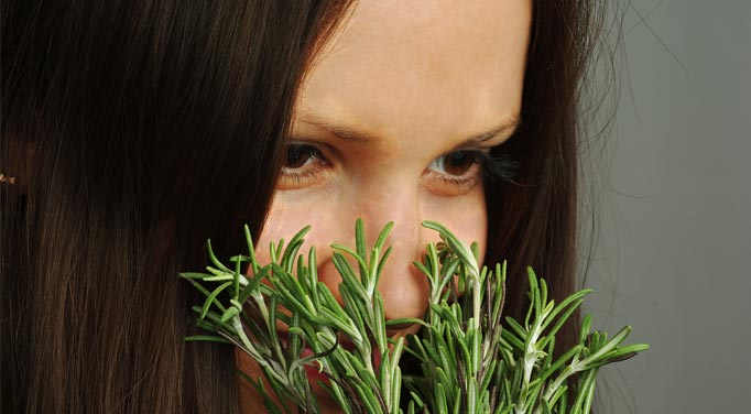 Sniffing rosemary is believed to improve your memory