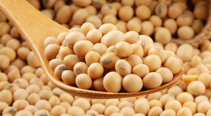 Soy and Thyroid