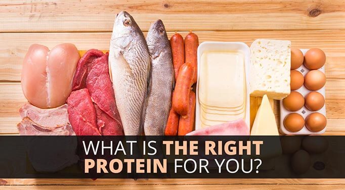 unhealthy sources of protein