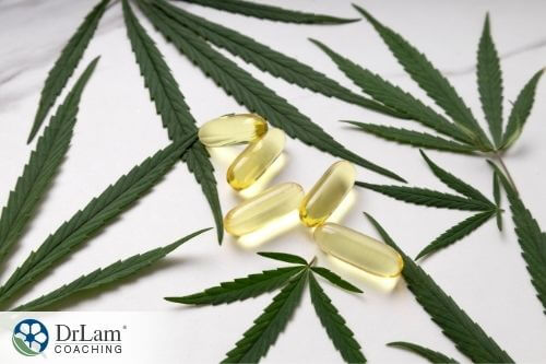 An image of clear looking capsules on a table surrounded by cannabis sativa plant