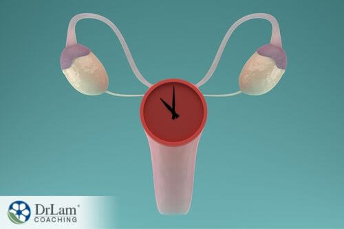 An image of a woman's uterus and ovaries with a clock over them