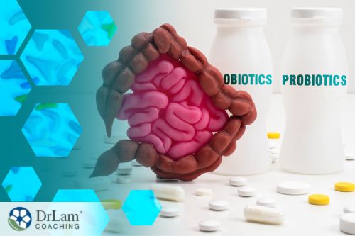 An image of probiotics and the gut