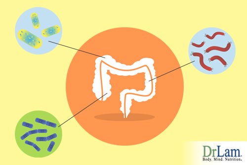 Microbiome research shows bacteria is essential to restore gut health