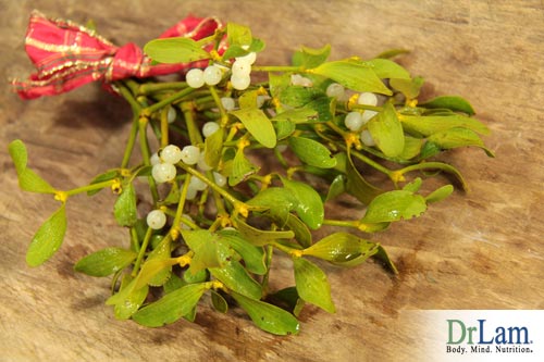 Mistletoe, olive leaf and cancer fighting supplements