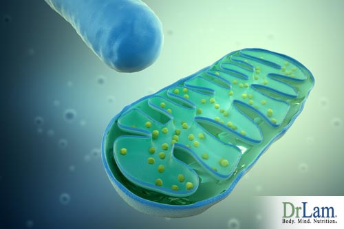 Mitochondria help with energy and prevent adrenal gland diseases