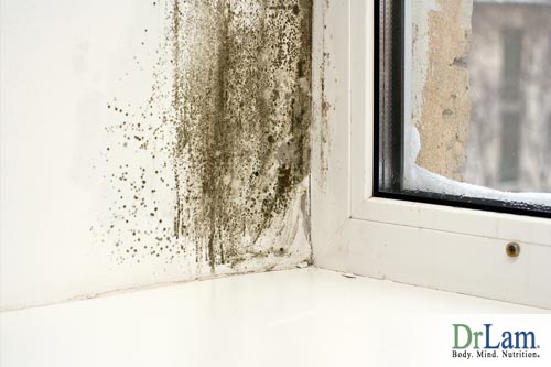 Mold toxicity symptoms can be caused by house hold mold