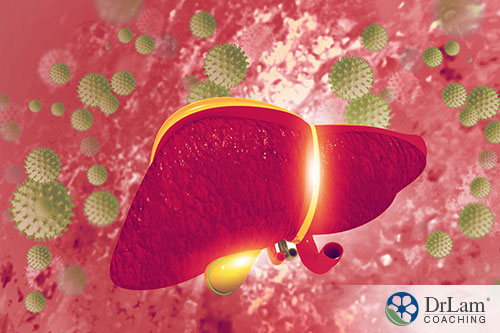 An image of an inflamed liver