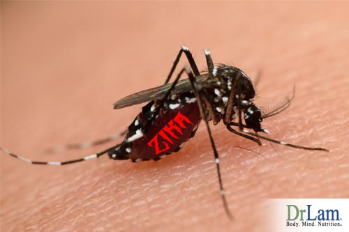 Mosquito bites are the largest vector for infection, learn Zika virus facts