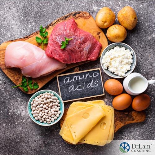 An image of amino acid rich food, which is key to getting muscle building nutrients, arranged in a circle on wooden cutting boards