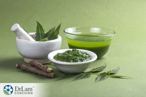 An image of various forms of neem processing