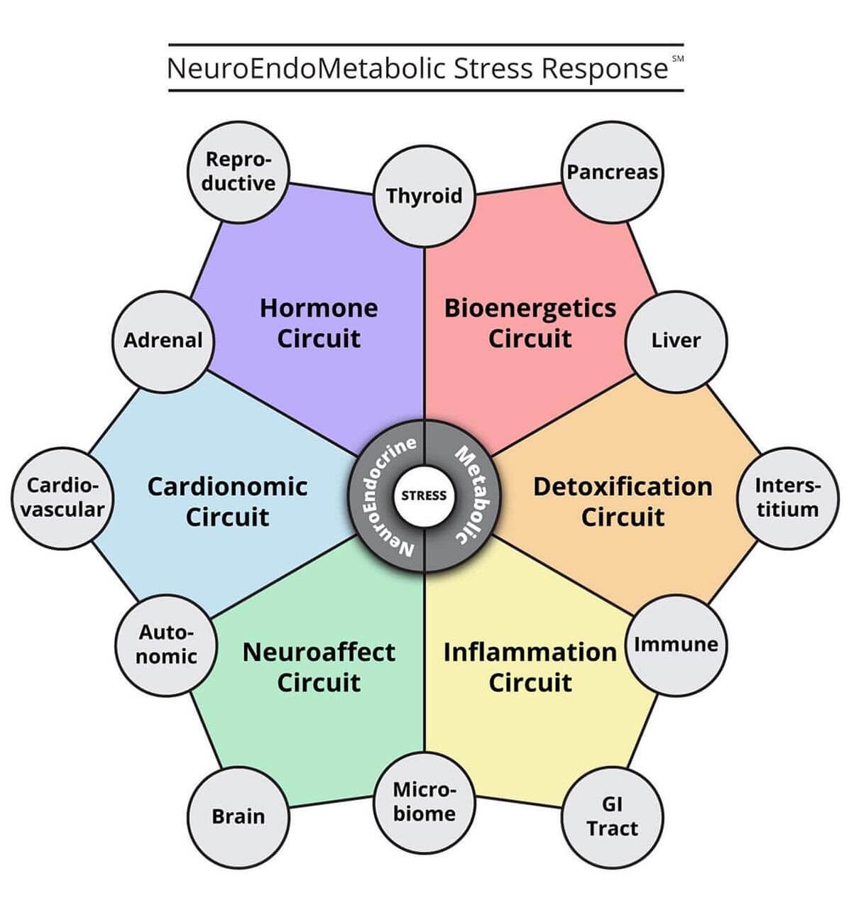 Hypothalamus hormones are part of the hormonal circuit of the NEM stress response