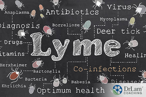 the word Lyme disease with co related infections
