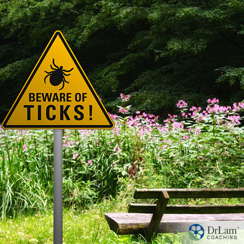 a sign for warning that there is ticks on the bench with nature