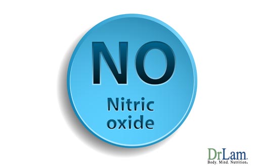Nitric oxide can answer the question: Can heart disease be reversed?