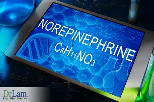 Norepinephrine and atrial fibrillation causes