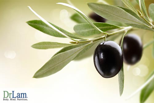 Olive leaf can be used to treat SARS