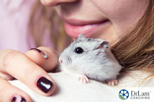 An image of a woman with a hamster on her shoulder